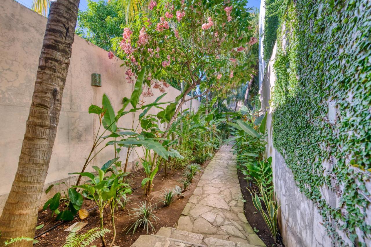 Boutique Hotel Secret Garden Granada Dış mekan fotoğraf